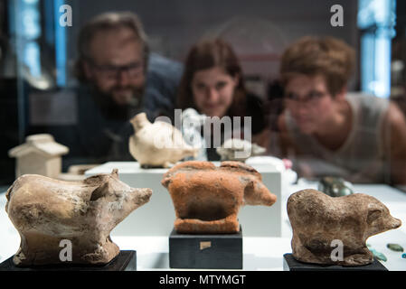 31 May 2018, Germany, Berlin: Three volunteers of the state museums examining a collection of pigs at the 'Fleisch' (lit. meat) exhibition in the Altes Museum (old museum) in Berlin. The exhibition is from the 01 June to the 31 August. Photo: Soeren Stache/dpa Stock Photo