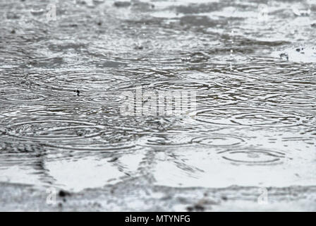 Portland. 31st May 2018. Heavy rain splashes in pavement puddles in  Fortunewell, Isle of Portland Credit: stuart fretwell/Alamy Live News Stock Photo