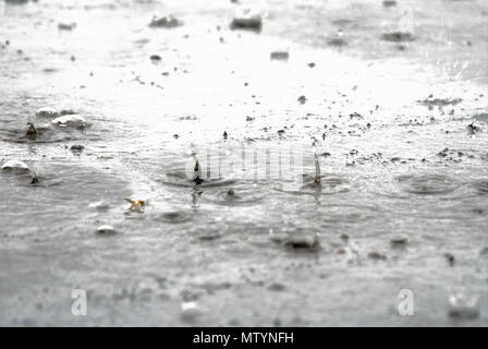 Portland. 31st May 2018. Heavy rain splashes in pavement puddles in  Fortunewell, Isle of Portland Credit: stuart fretwell/Alamy Live News Stock Photo