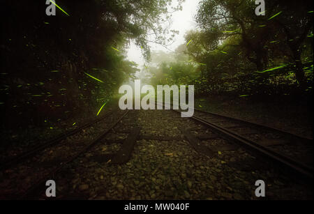 Fireflies flying over a railway line, Taichung, Taiwan Stock Photo