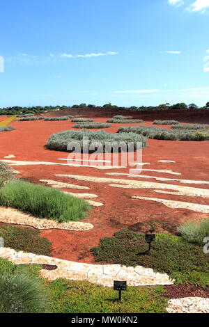 Australian Garden in Cranbourne Melbourne Victoria Australia Stock Photo