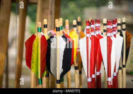 Handmade Arrows - handgemachte Pfeile - for archery Stock Photo