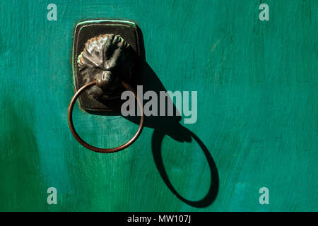 old green door with a lion-shaped handle Stock Photo