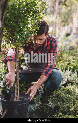 young gardener in apron planting tree while working in garden Stock Photo