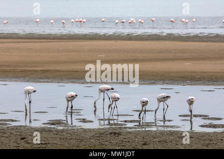 Walvis Bay, Erongo, Namibia, Africa Stock Photo