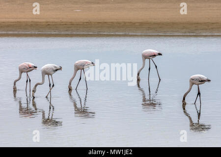 Walvis Bay, Erongo, Namibia, Africa Stock Photo