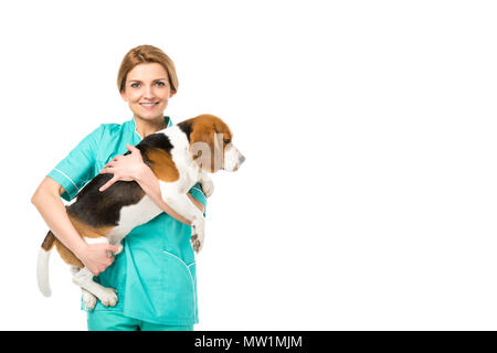 portrait of smiling veterinarian in uniform holding beagle dog isolated on white Stock Photo