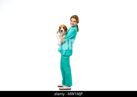 smiling veterinarian in uniform with beagle dog in hands isolated on white Stock Photo