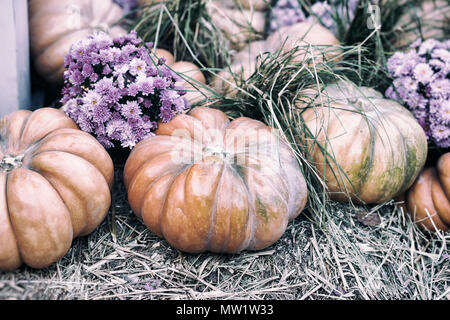 Rustic vintage background with organic pumpkins on dry straw and autumn flowers. Harvest concept. Symbol of holidays, especially on Thanksgiving Day Stock Photo