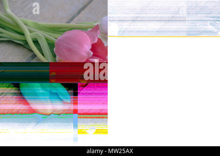 Computer error when editing a photo. Tulips and hearts. Past love. Trendy Glitch effect Stock Photo