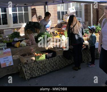 People buying and selling vegetables and fruits at shops in Australian suburb. Stalls doing business at Bondi Farmers Market, Sydney. Stock Photo