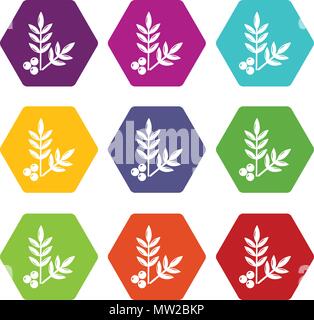 Spa eco leafs icons set 9 vector Stock Vector Image & Art - Alamy