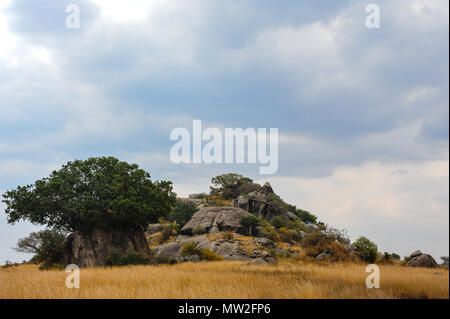 Beautiful Serengeti landscape. A rocky kopje stands in golden grassland with grey storm clouds overhead Stock Photo