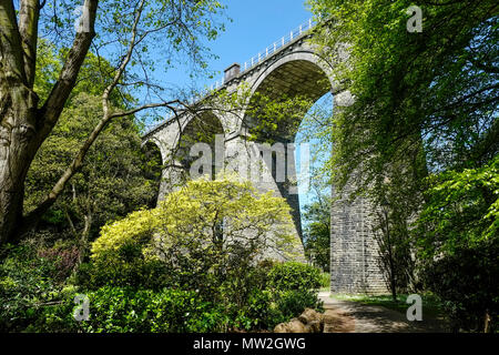 Trenance Viaduct a Grade II listed structure in Newquay Cornwall. Stock Photo