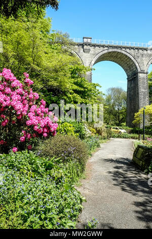 Trenance Viaduct a Grade II listed structure seen from Trenance Gardens in Newquay Cornwall. Stock Photo