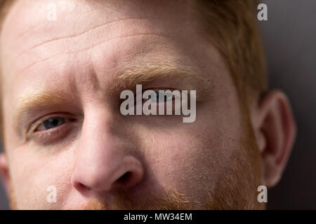 Man with beautiful blue eyes looking straight into camera. Close up of ginger man with beard looking in frame with calm face expression. Stock Photo