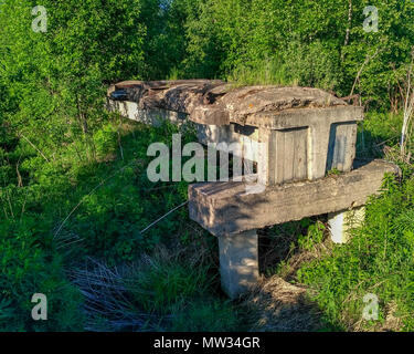 old unfinished destroyed narrow-gauge railway on concrete blocks passing through a forest swamp close-up. Stock Photo