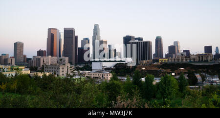 Green trees dominate the foreground with the city skyline of Los Angeles in the background Stock Photo