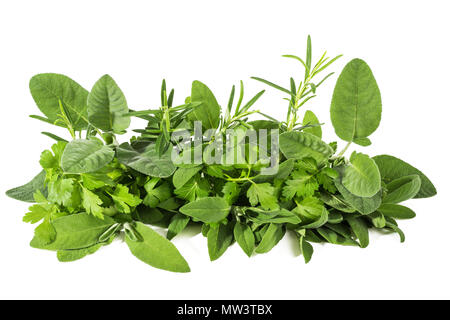 Fresh herbs mix  isolated on white background Stock Photo