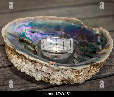 .Iridescent Seashell Close-up. Candle lit inside seashell. Stock image Stock Photo