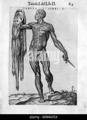 . Juan de Valverde (ca. 1525-ca. 1587): La anatomia del corpo umano, 1586. January 2008. McLeod 625 Valverde skinned muscle man Stock Photo