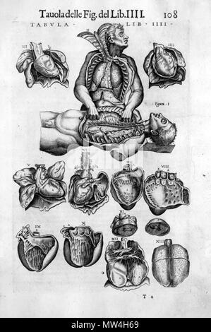 . Juan de Valverde (ca. 1525-ca. 1587): La anatomia del corpo umano, 1586. January 2008. McLeod 625 Valverde heart lungs Stock Photo