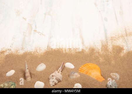 seashells with sand on a blue and white  wooden background. Top view with text area Stock Photo