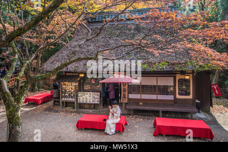 Japan , Nara City, tea Shop Stock Photo