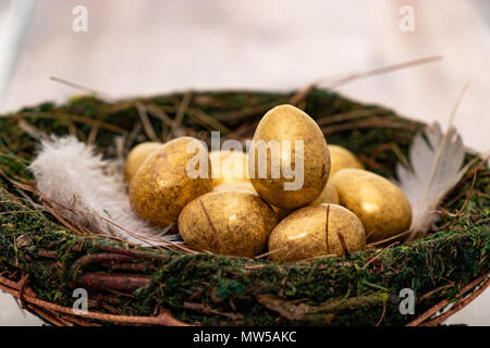 Gold eggs in a bird’s nest - selective focus Stock Photo