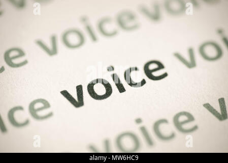 word voice printed on white paper macro Stock Photo