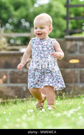 Beautiful Young baby girl toddler at 18 months old with short blonde hair walking in garden - model released Photograph taken by Simon Dack Stock Photo