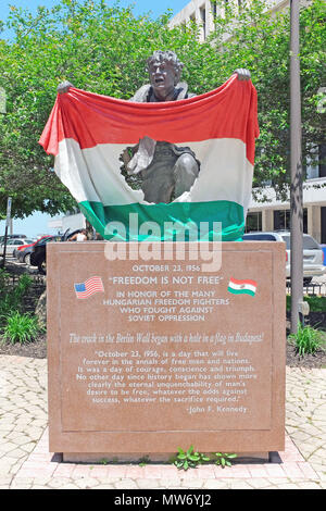 Hungarian freedom fighter holds Hungarian flag with communist symbol cut out in the Cleveland , Ohio statue symbolizing the 1956 Hungarian uprising. Stock Photo