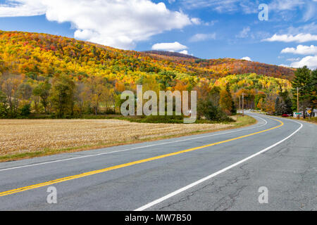 Empty highway road through colorful fall forest landscape in New England Stock Photo