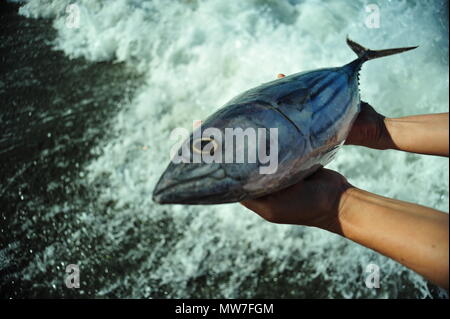 Fishing, Pacific Ocean, Baler, Philippines Stock Photo
