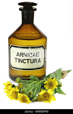 pharmacy bottle with arnica tincture isolated on white background Stock Photo