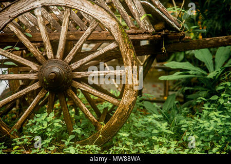 Old wooden wagon in the rain forest of Thailand, closeup Stock Photo