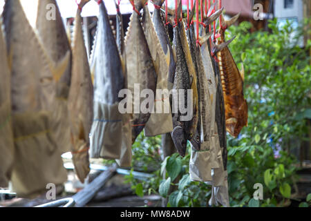 dried fish hanging on a rope, a life and business fisherman, closeup Stock Photo