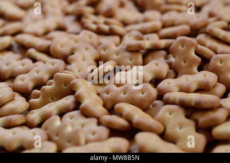 A huge bunch of salted biscuits of small sizes as a closed pattern or texture. A large amount of salted cracker in golden yellow tones Stock Photo