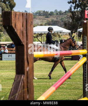 Blenheim Equisports Showpark Ranch & Coast Classic equestrian show jumping event, del mar horsepark, ca us Stock Photo