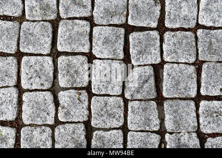 Close-up of a path paved with square granite setts Stock Photo