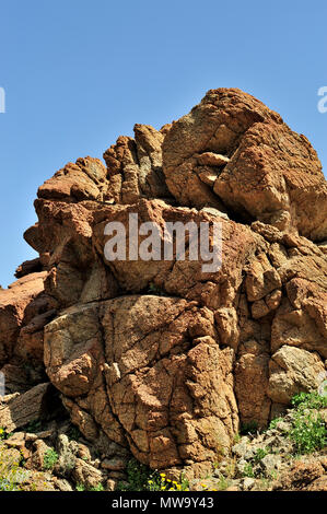 Red metamorphic granite,  Brittlebush, Incienso, Goldenhills, Encelia Farinosa,  Glorietta Canyon, Anza-Borrego Desert State Park, CA  100327 35158 Stock Photo
