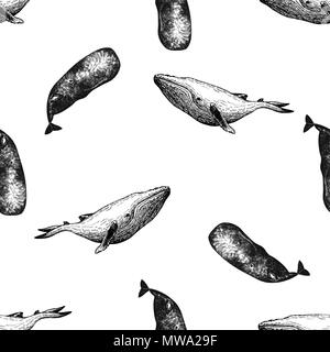 Seamless pattern of hand drawn sketch style whales isolated on white background. Vector illustration. Stock Vector