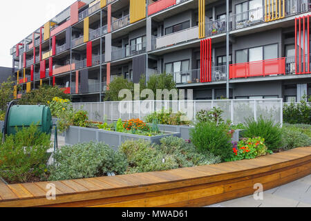 Public garden at front of a residential apartment building. Green shared compost bin on left. Footscray Plaza, VIC Australia. Stock Photo