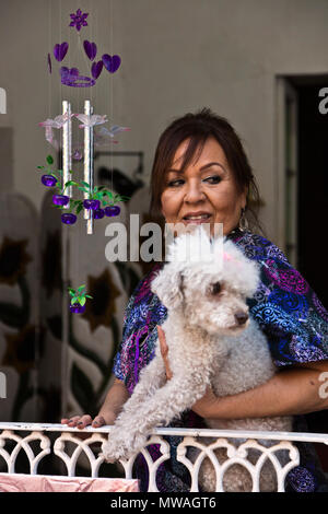 A woman with her poodle - GUANAJUATO, MEXICO Stock Photo