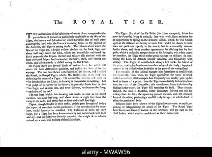 . English: Illustration from Charles Catton the Younger Animals drawn ...