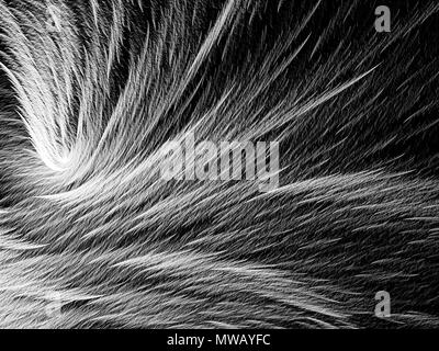 Fur texture - abstract digitally generated image Stock Photo