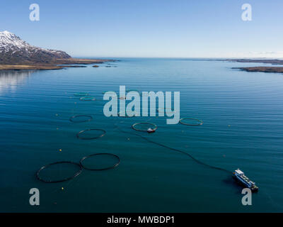 Aerial view, fish farming in large free-water nets in the sea, fjord, Iceland Stock Photo
