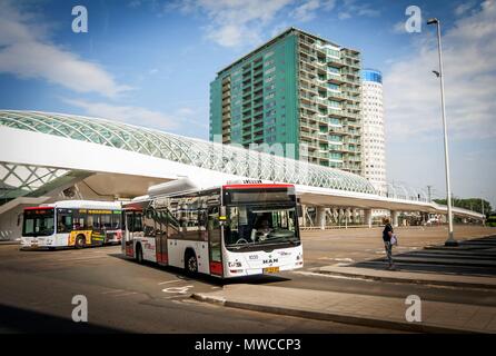 THE HAGUE (DEN HAAG), NETHERLANDS. July 19, 2017. White HTMBuzz buses at the Hague central station. Passengers waiting. Stock Photo