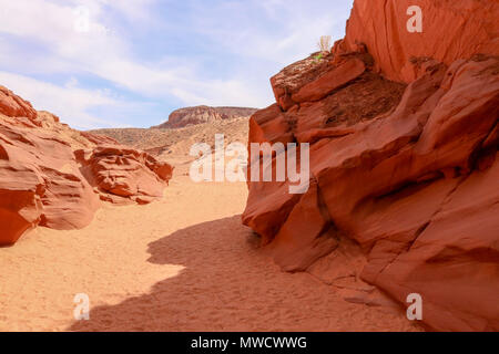 Standing in the shadow of the pink colored sandstone formations of Arizona taking in the array of colors. Stock Photo