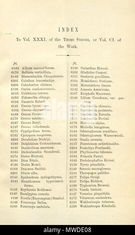 . Index . 1875. Joseph Dalton Hooker (1817—1911) 295 Index - Curtis' 101 (Ser. 3 no. 31) (1875) Stock Photo